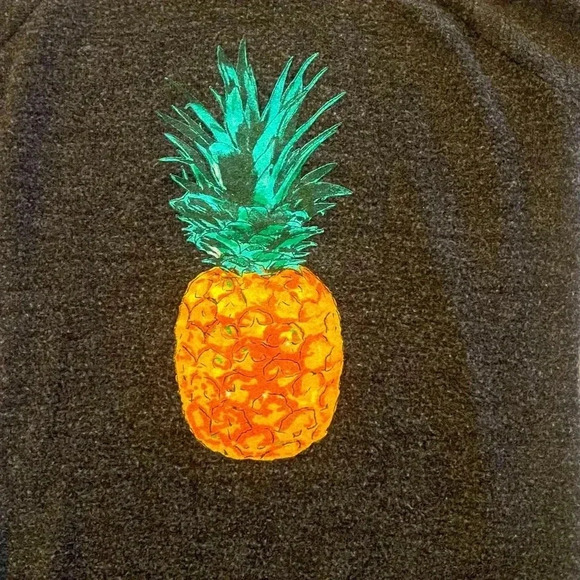 Soft long sleeve charcoal gray pullover with a pineapple graphic on front - Picture 4 of 6